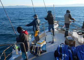 Marina Cala de' Medici: gara di pesca sportiva per selezione prossima Nazionale Italiana Canna da Natante
