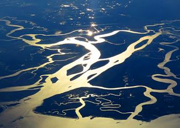 Everglades, tra le paludi della Florida