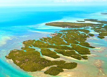 Un paradiso chiamato Florida Keys