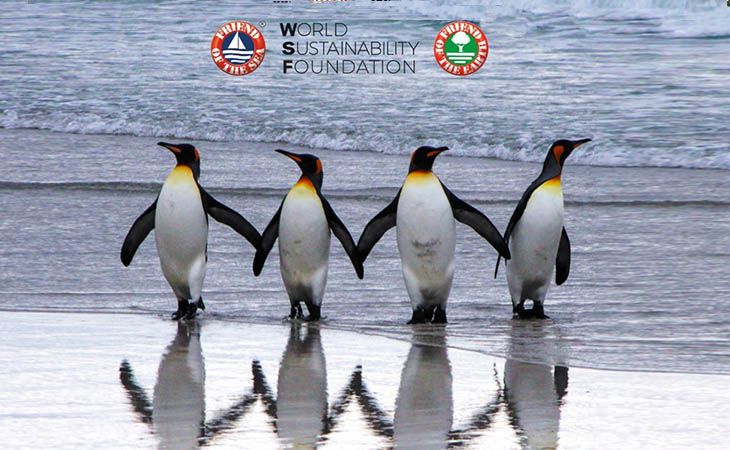 Preservare i nostri preziosi pinguini. Una celebrazione della Giornata mondiale di sensibilizzazione sui pinguini