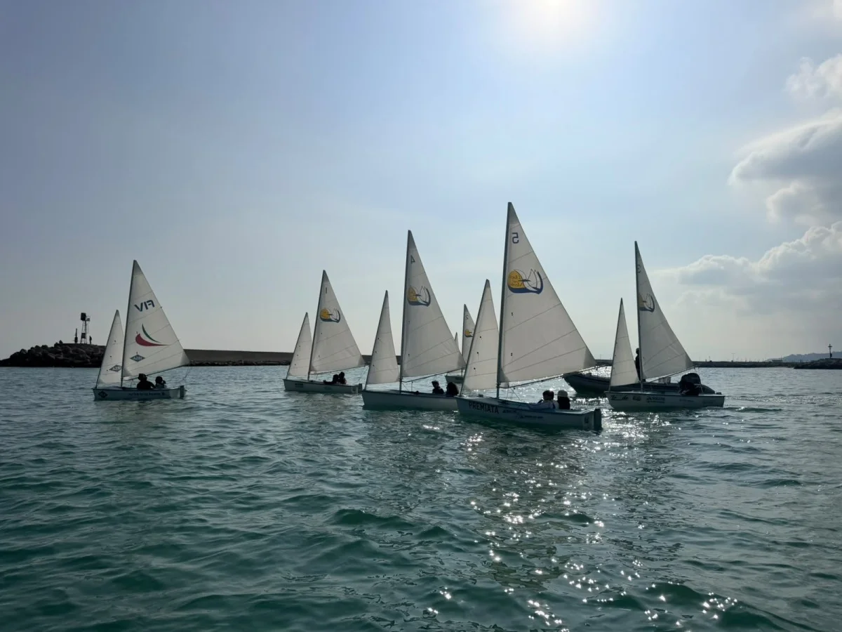 Flottiglia di derive bianche con equipaggi in navigazione vicino al molo del porto, controluce con riflessi del sole sull'acqua.
