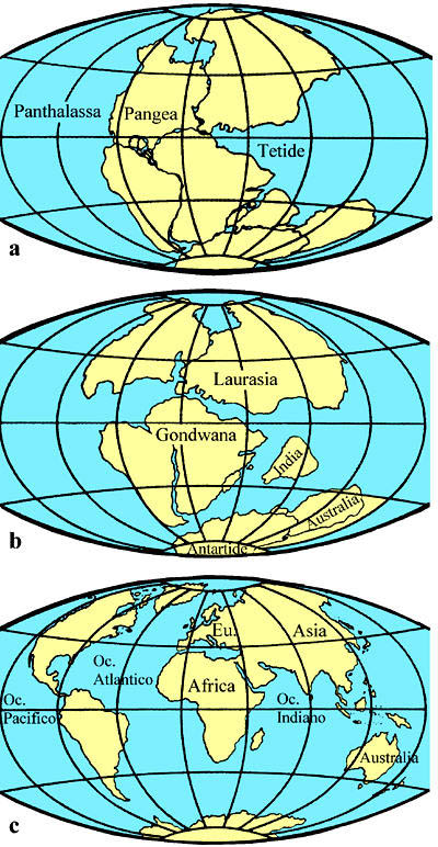 Foto 1 Fasi dell’evoluzione del Mediterraneo a) il supercontinente Pangea 225 milioni di anni fa; b) la disposizione dei continenti 135 m.a. fa, quando iniziò la chiusura della Tetide; c) la disposizione dei continenti oggi