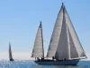 Due vele classiche a pieno vento su mare calmo durante una regata costiera