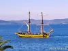 Brigantino a due alberi con scafo giallo e nero in navigazione su mare blu, con colline sullo sfondo e una fronda di palma in primo piano