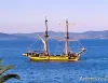 Brigantino a due alberi con scafo giallo e nero in navigazione su mare blu, con colline sullo sfondo e una fronda di palma in primo piano