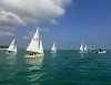 Piccole barche a vela con vele bianche navigano su un mare verde e calmo, con un gommone di assistenza a destra e la costa sullo sfondo.