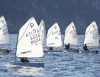 Flotta di piccole barche a vela Optimist con vele bianche e numeri velici, con giovani velisti a bordo, davanti a una costa rocciosa