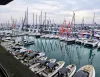 Marina con numerosi motoscafi, catamarani e alberi delle vele all'ormeggio