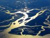Everglades, tra le paludi della Florida