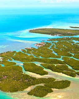 Un paradiso chiamato Florida Keys
