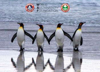 Preservare i nostri preziosi pinguini. Una celebrazione della Giornata mondiale di sensibilizzazione sui pinguini
