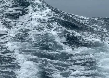 Vendée Globe: Oceano indiano, riserva di mostri