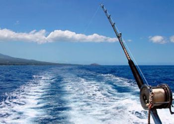 Decreto ministeriale 15 luglio 2011 pesca sportiva