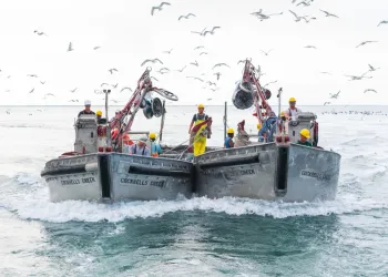 Tre barche da pesca affiancate con equipaggi e gabbiani in volo