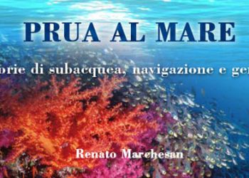 Renato Marchesan - Prua al mare