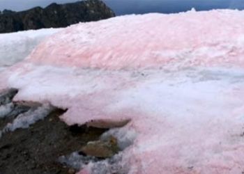 Neve rosa all’Artico. Ecco perché è successo e le conseguenze