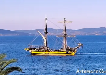 Brigantino a due alberi con scafo giallo e nero in navigazione su mare blu, con colline sullo sfondo e una fronda di palma in primo piano
