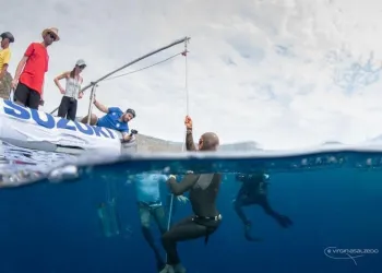 Scena metà acqua/metà sott'acqua con sub in muta che si aggrappa a una cima mentre persone su un gommone assistono.