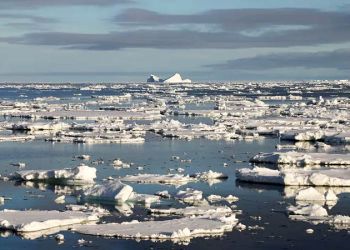 Vendée Globe: scoprire l'Antartico con Polar Journal