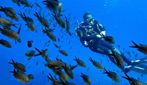 Eudi Show 2017: Lampedusa sopra e sotto... with Moby Diving Center