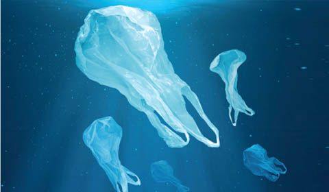 Il falso mito della plastica biodegradabile