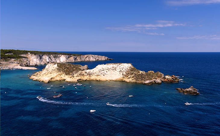 Isola di Cretaccio - I. Tremiti (FG)