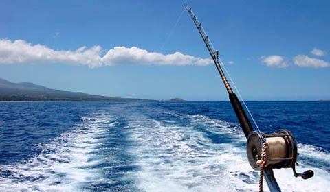 Decreto ministeriale 15 luglio 2011 pesca sportiva