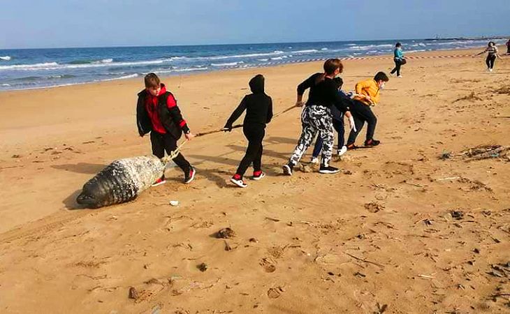 Assonautica Italiana: ''Marine Litter'' di Assonautica sposa ''Beach Care Project''