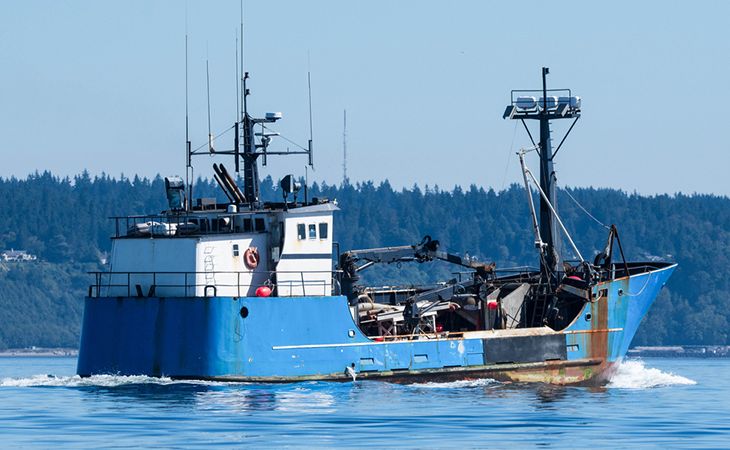 Il cambiamento climatico fa sparire i granchi, l’Alaska ne vieta la pesca