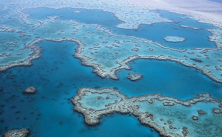 La barriera corallina un paradiso minacciato