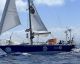 Day 170 Golden Globe Rce: Abhilash Rounds Cape Horn and two more struggling!