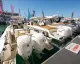 Imbarcazioni al pontile con più fuoribordo Yamaha XTO esposte al Salone Nautico di Genova