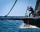 Yacht Club Italiano: Regate di Primavera - Portofino seconda giornata