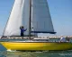 Imbarcazione a vela gialla in regata con equipaggio e vele spiegate davanti a un molo