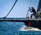 Yacht Club Italiano: Regate di Primavera - Portofino seconda giornata