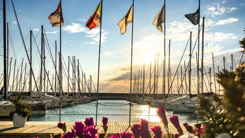  Marina Cala de' Medici lancia il progetto ''Alto Tirreno Charter Base'' per salvare il turismo nautico in Toscana
