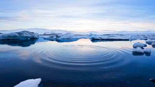 La morte degli iceberg ed il futuro del pianeta