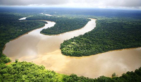 Amazzonia, il Programma ARPA festeggia i 15 anni tutelando 60 milioni di ettari