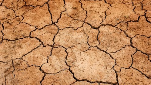 Il problema della desertificazione